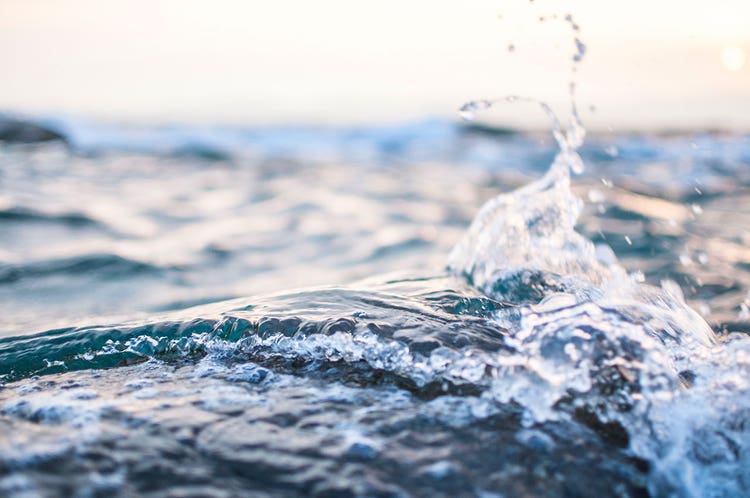 Water - Water elements are introverts and philosophers. When they are feeling good, they are courageous and make good decisions, but when out of balance, they respond with fear and need time to recharge.