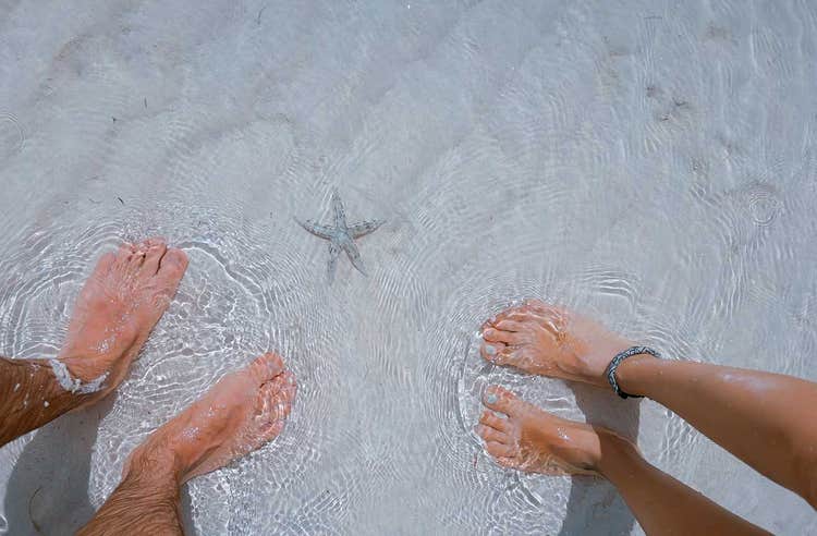 close up of two sets of feet in the sand and water with a starfish