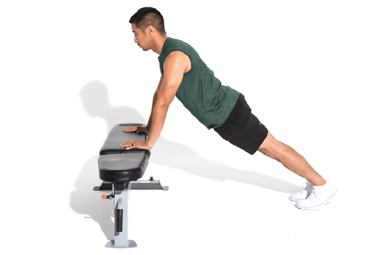 GIF of Incline Push-Up on Bench Exercise