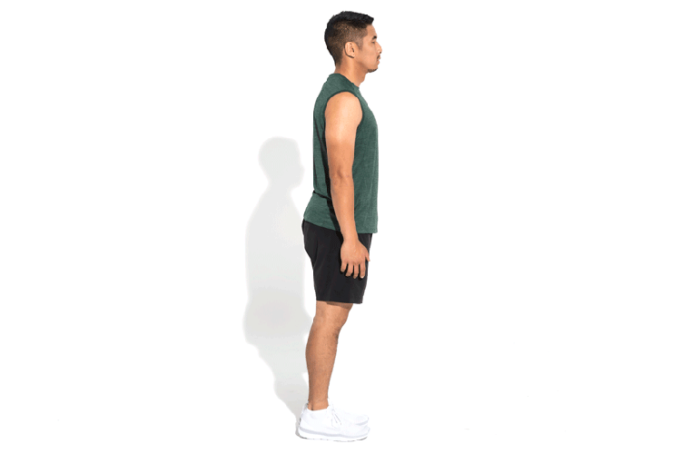 GIF of Standing Quad Stretch exercise