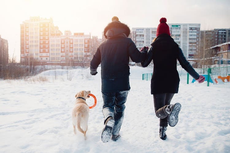 6-couple-walking-inthe-snow-with-dog